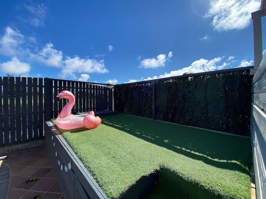 Comfortable Family House With Pool And Jacuzzi كوستا دي أنتيجوا المظهر الخارجي الصورة